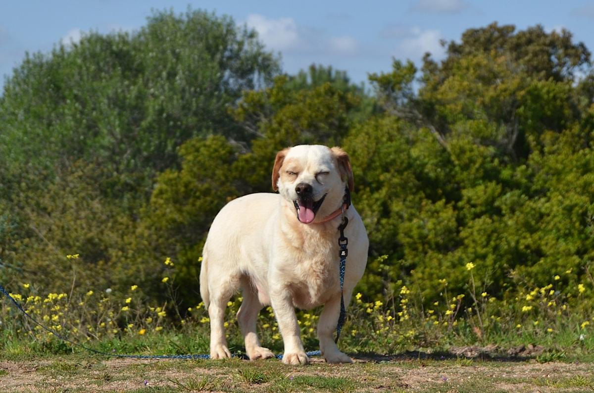 Kevin - AM25146LC Kevin - AM25146LC