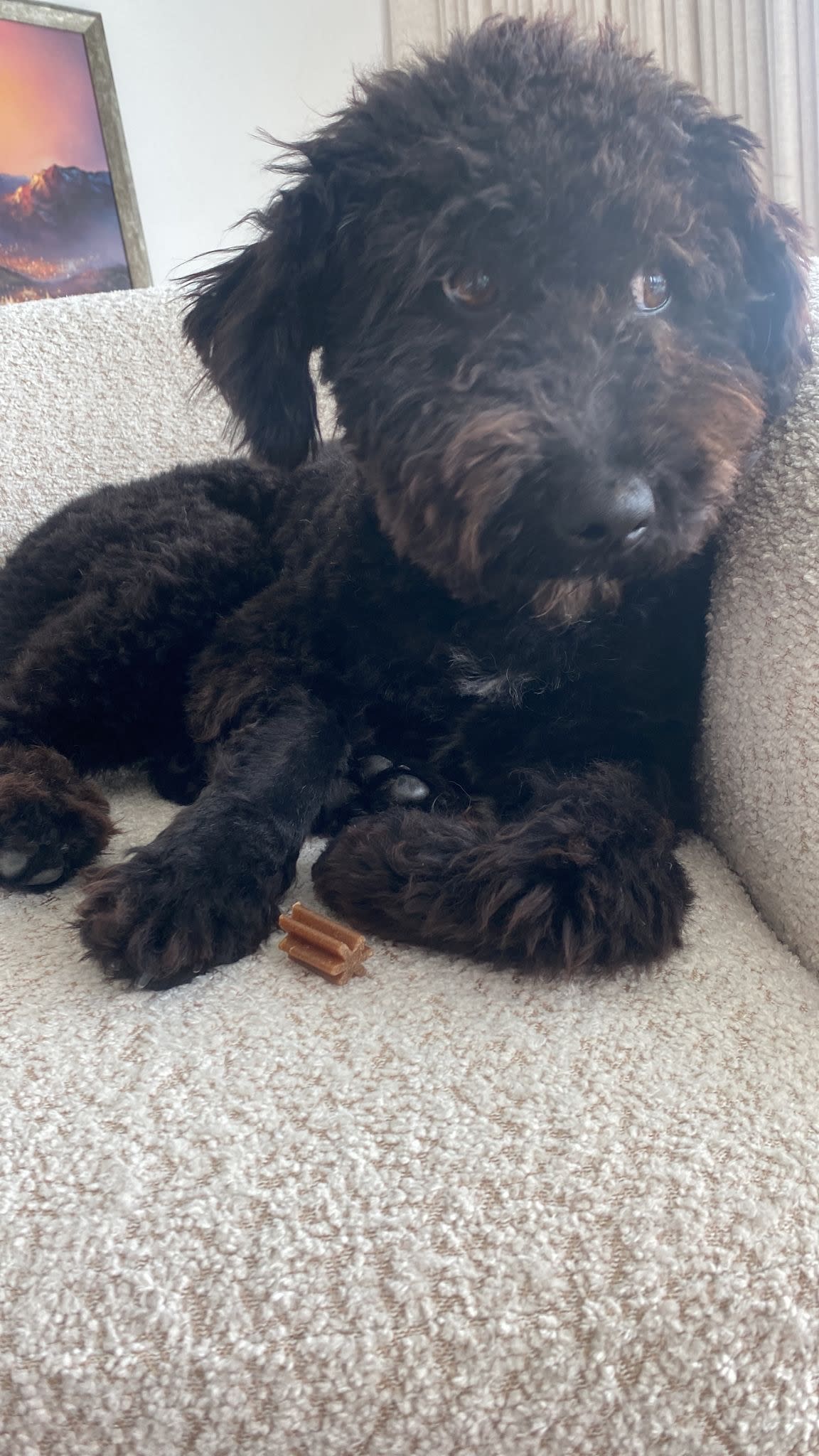 Nico - YM25124 Nico - YM25124