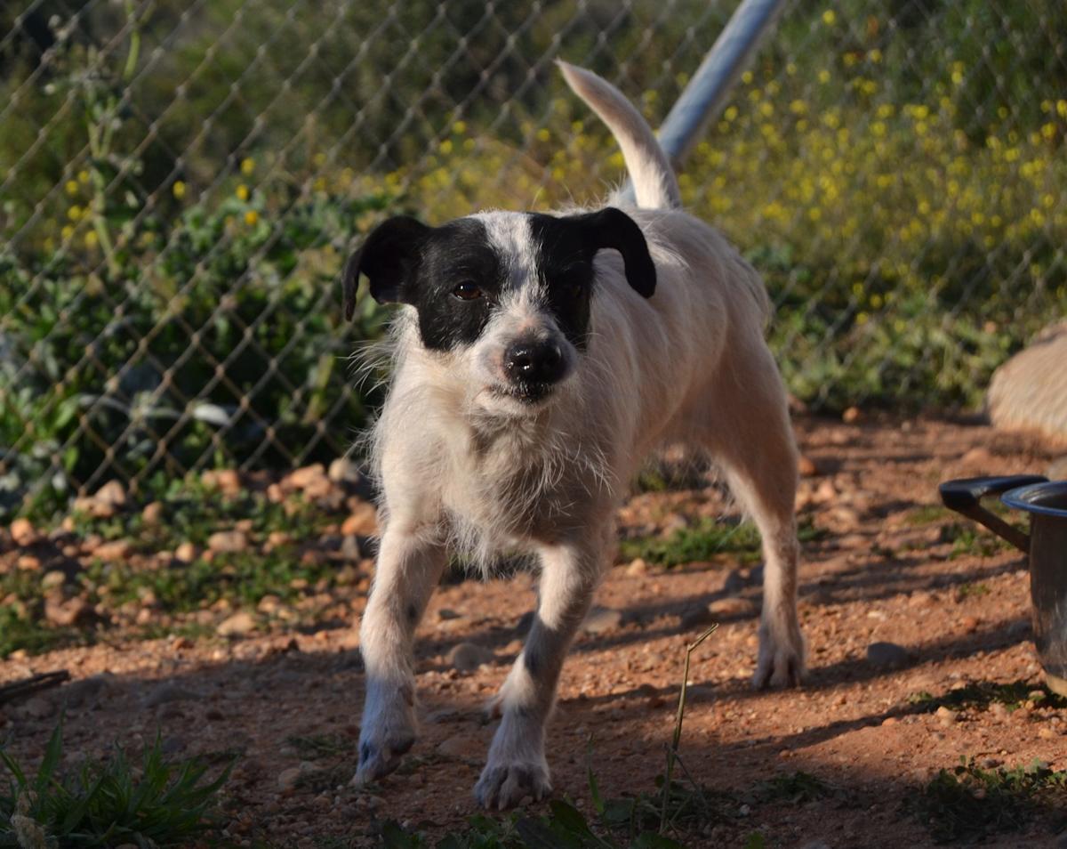 Erin - AF25141LC Erin - AF25141LC