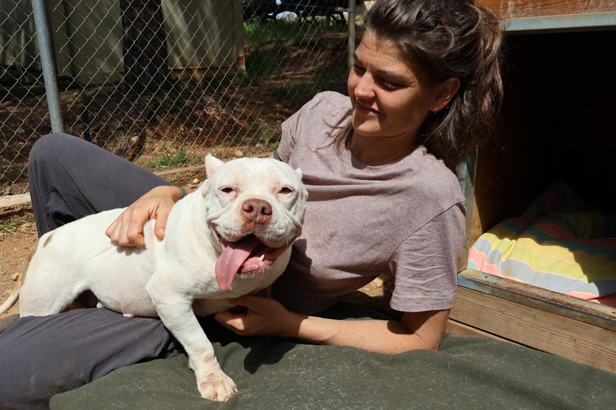 Linda - AF25158 Linda - AF25158