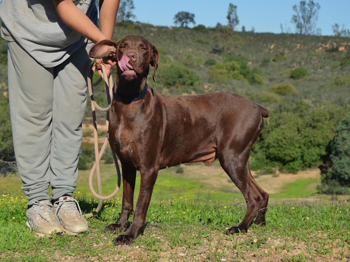 Karliche - AM25138LC Karliche - AM25138LC