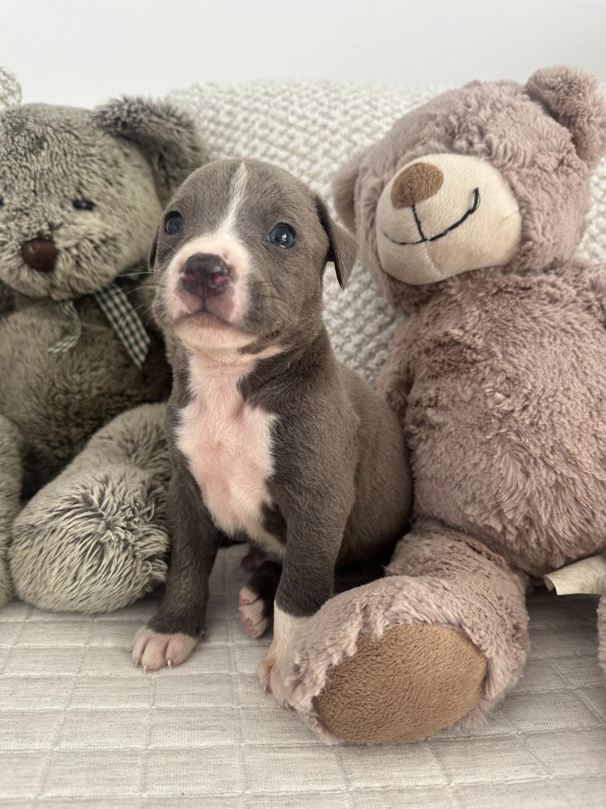 Bryan - PM25123 Bryan - PM25123