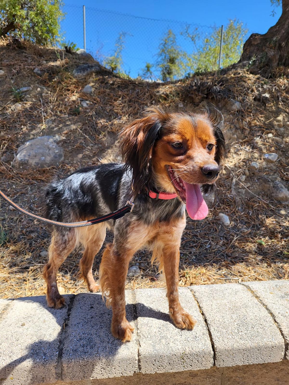 Hala - YF25191 Hala - YF25191