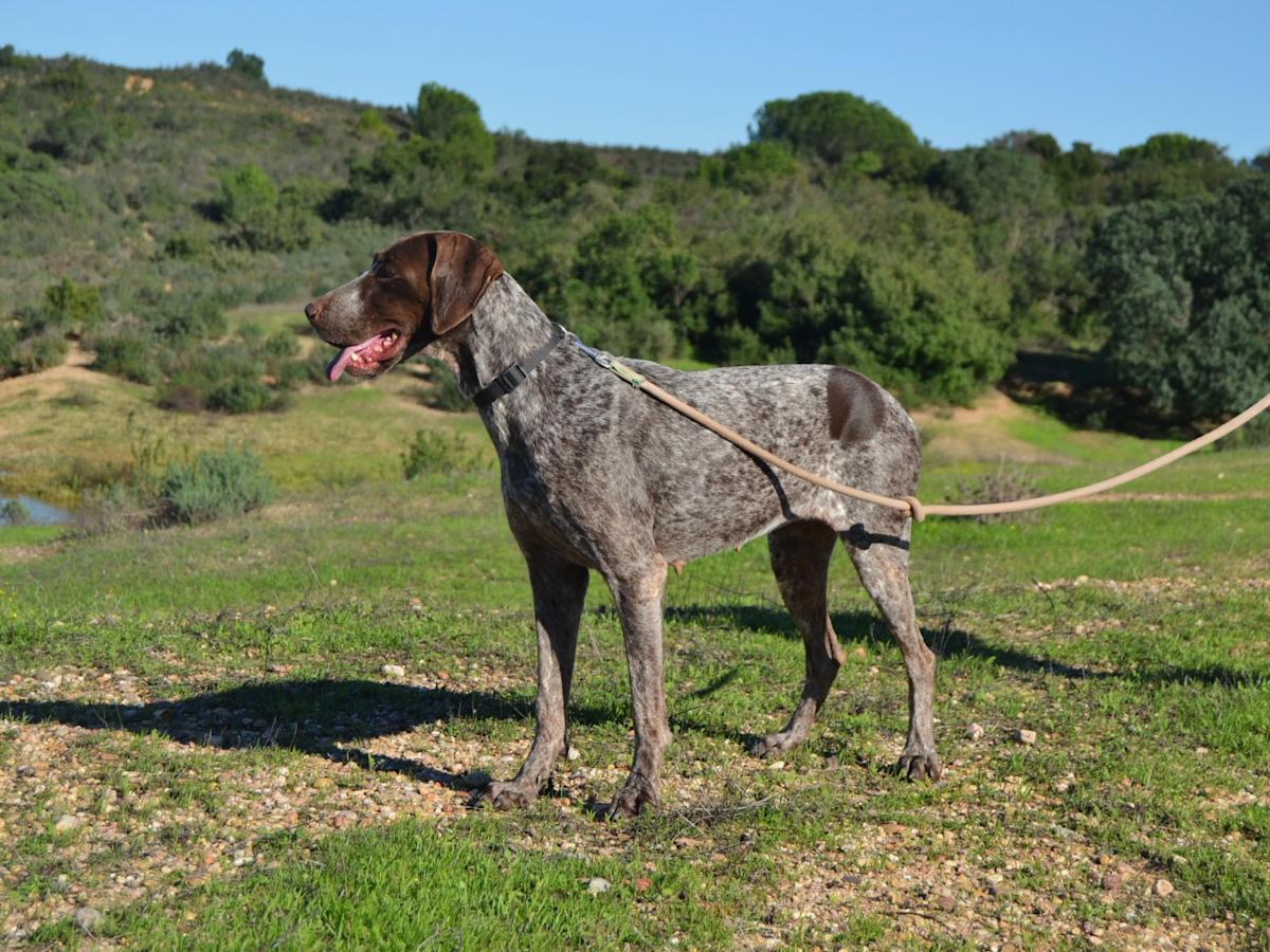 Karla - AF25137LC Karla - AF25137LC