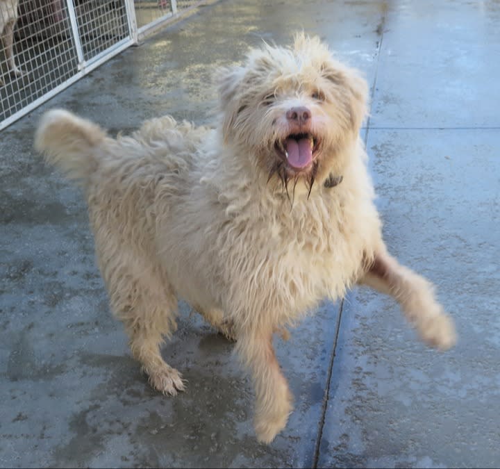 Coby - AF25234LB Coby - AF25234LB