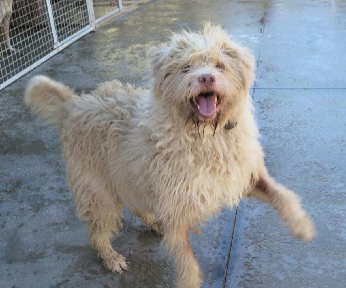 Coby - AF25234LB Coby - AF25234LB