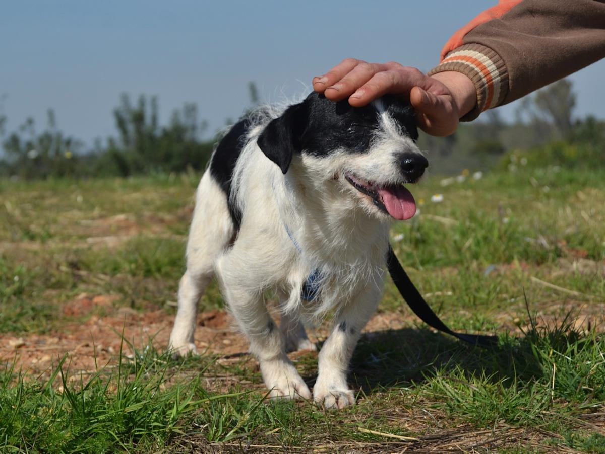 Jim - AM25144LC Jim - AM25144LC