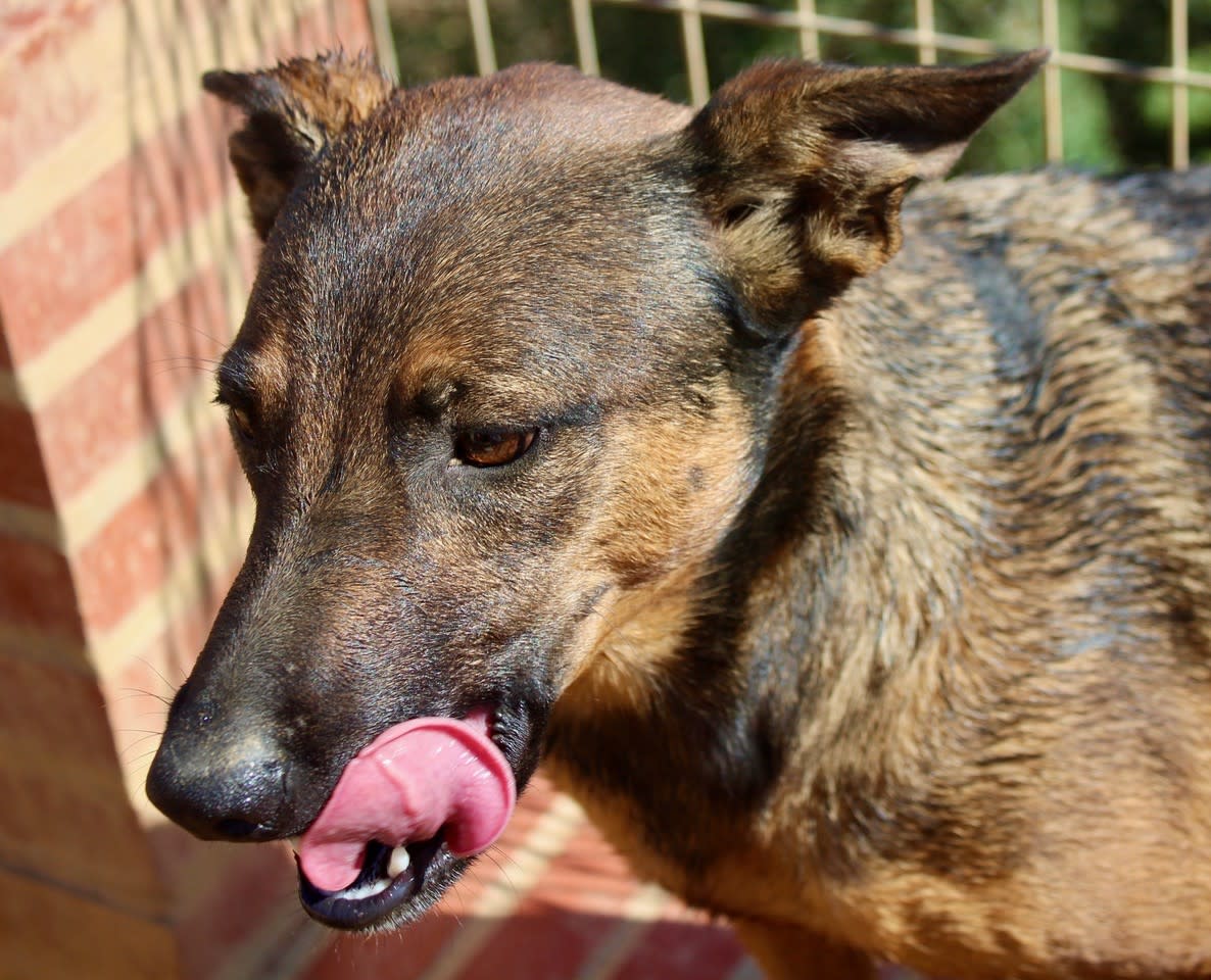 Romeo and Juliet - 25203PL Romeo and Juliet - 25203PL