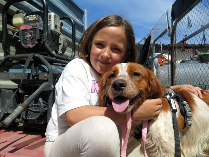 Fuego - AM26281LB Fuego - AM26281LB