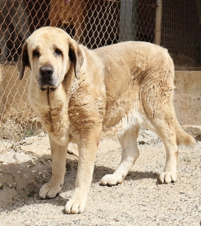 Cloud - AF25168AD Cloud - AF25168AD