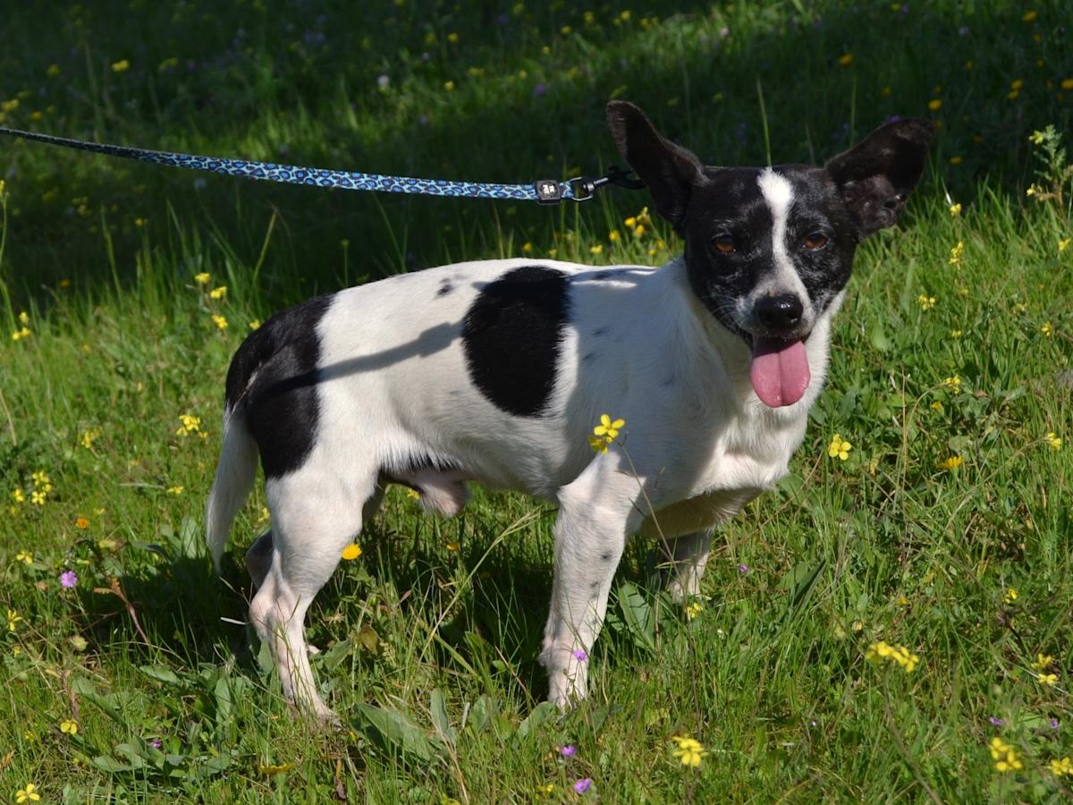 Gabe - AM25142LC Gabe - AM25142LC