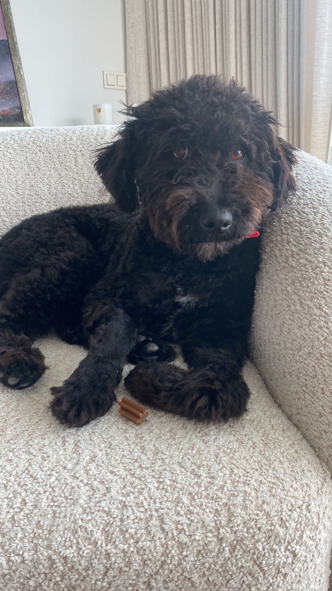 Nico - YM25124 Nico - YM25124