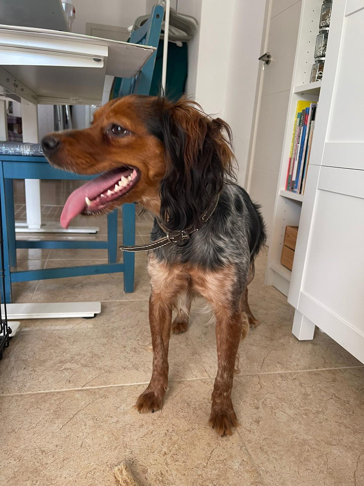 Hala - YF25191 Hala - YF25191