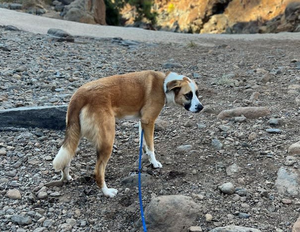 Karina - AF26254AD Karina - AF26254AD