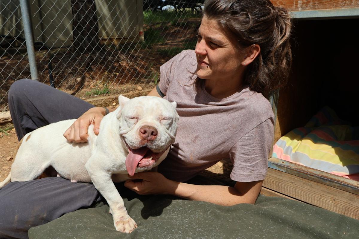 Linda - AF25158 Linda - AF25158