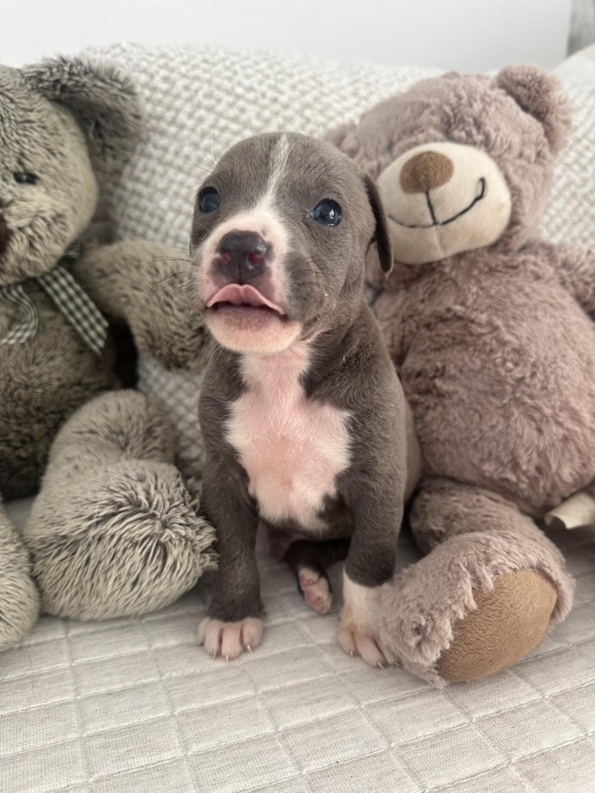 Bryan - PM25123 Bryan - PM25123