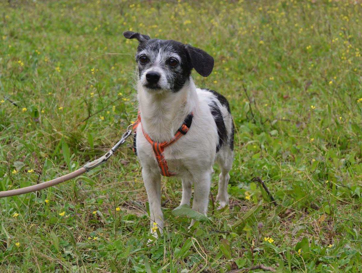 Jan  - AF25143LC Jan  - AF25143LC