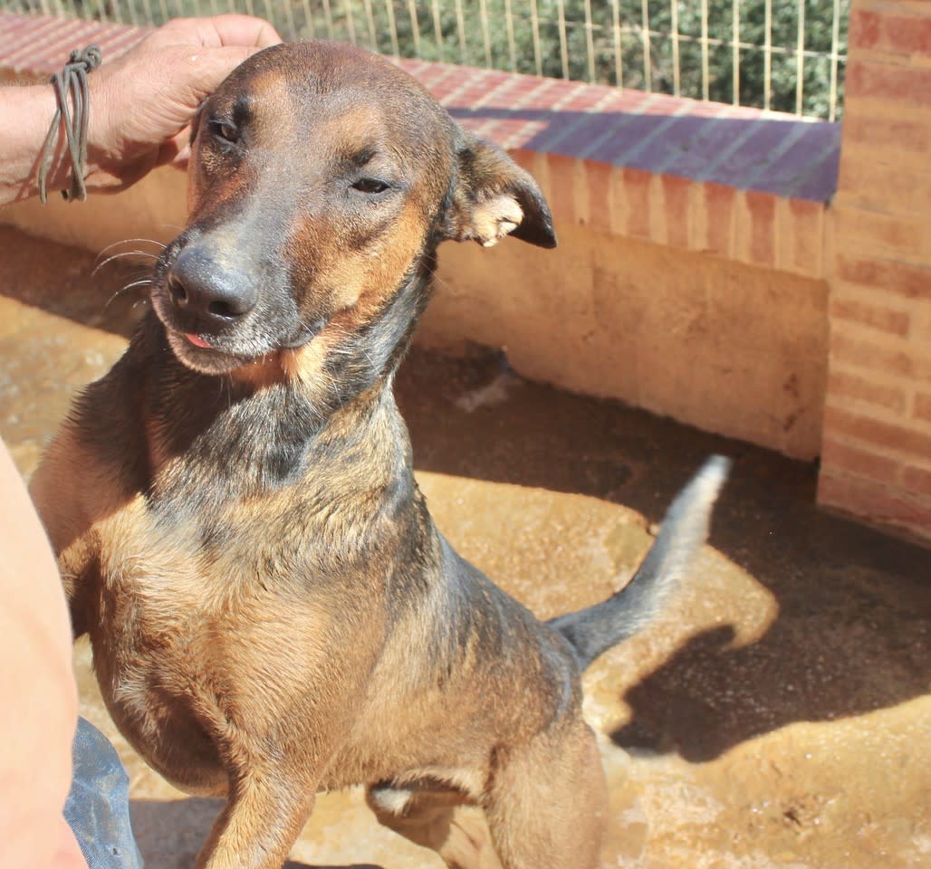 Romeo and Juliet - 25203PL Romeo and Juliet - 25203PL