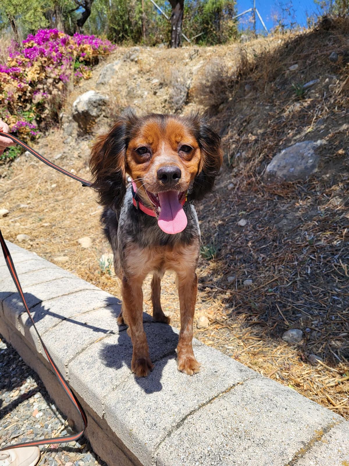 Hala - YF25191 Hala - YF25191