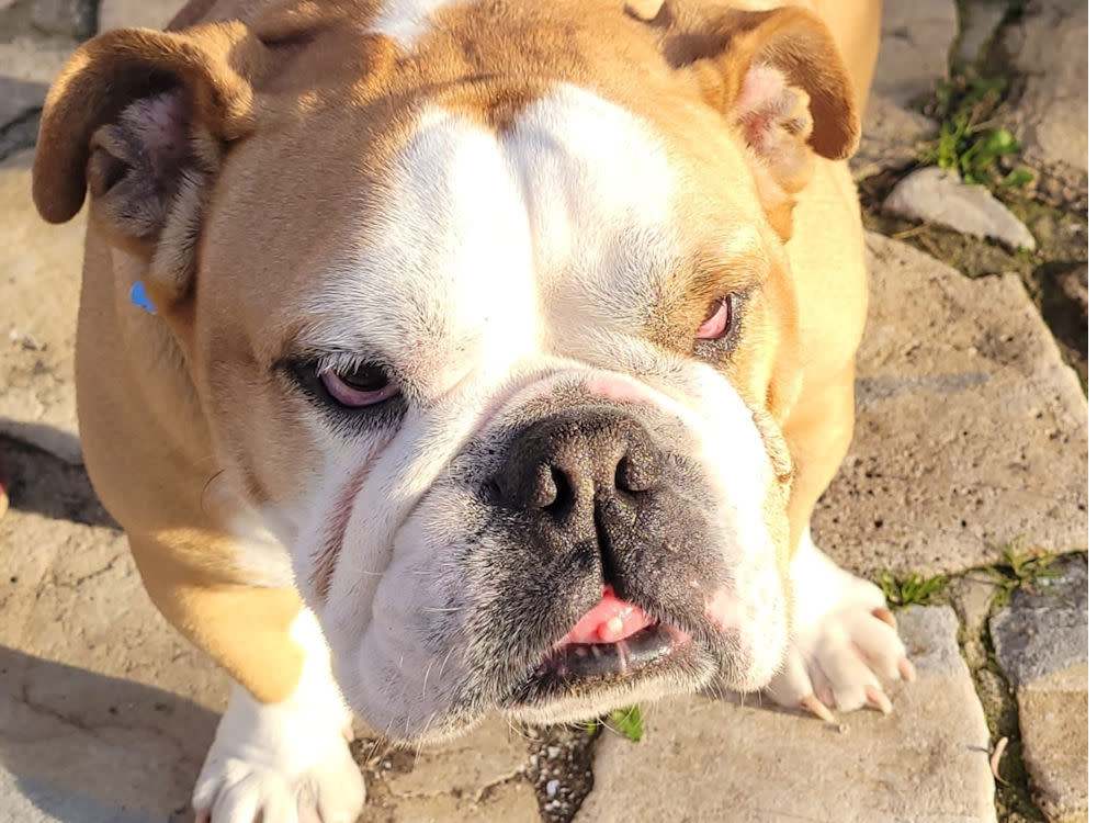 Miami - AF26261AD Miami - AF26261AD