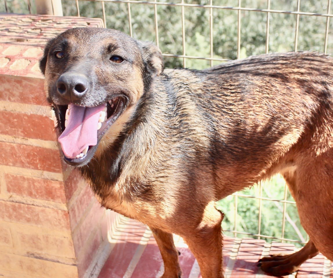 Romeo and Juliet - 25203PL Romeo and Juliet - 25203PL