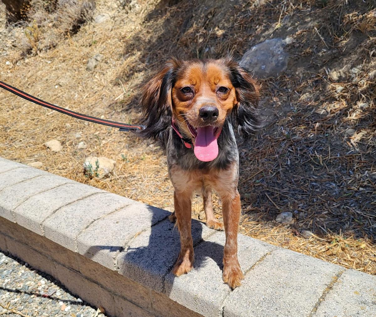 Hala - YF25191 Hala - YF25191