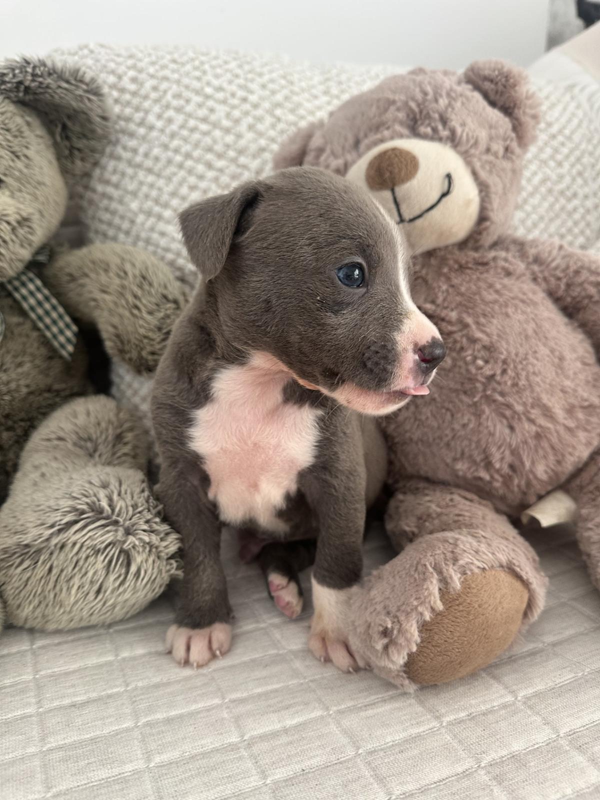 Bryan - PM25123 Bryan - PM25123