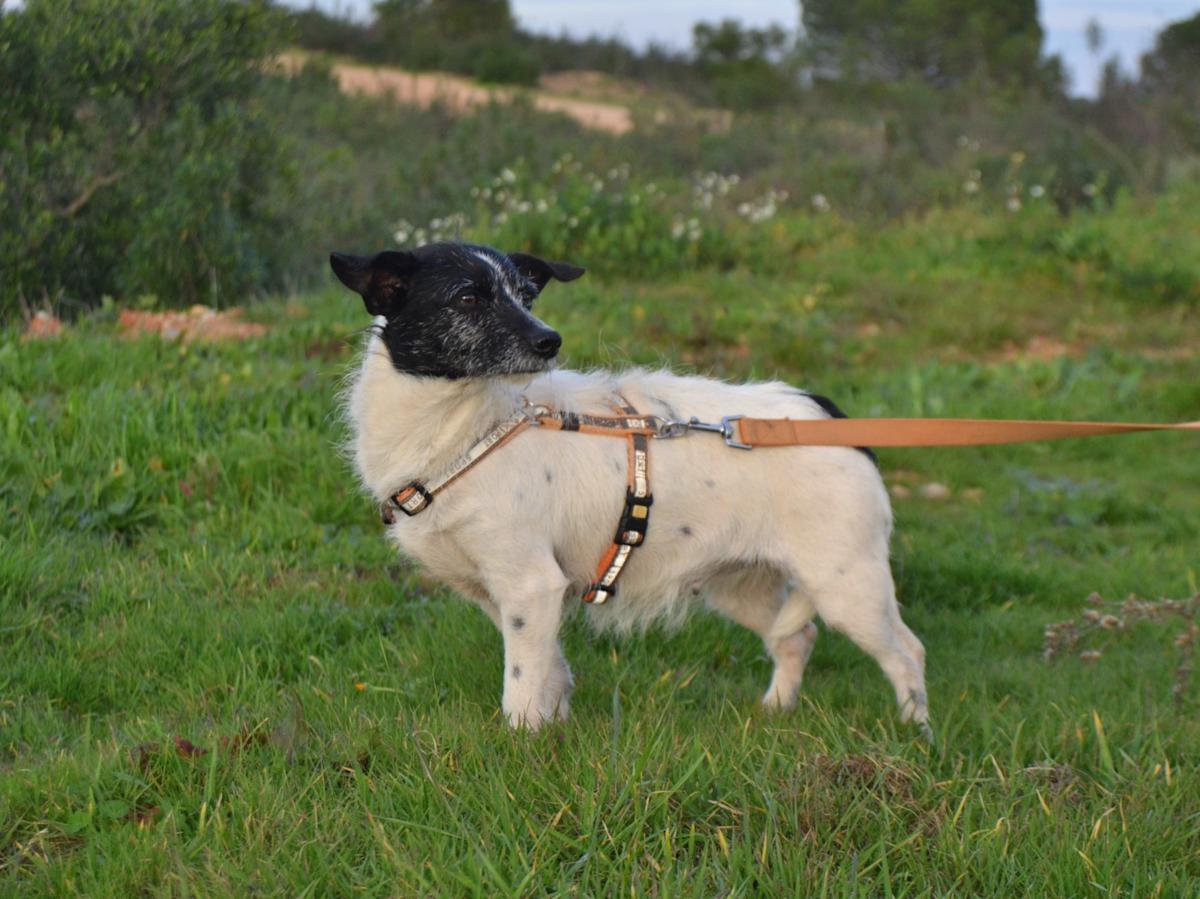 Kathy - AF25140LC Kathy - AF25140LC