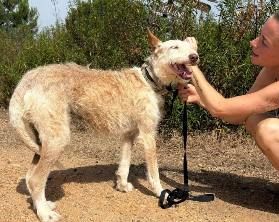 Ria - AF25207 Ria - AF25207