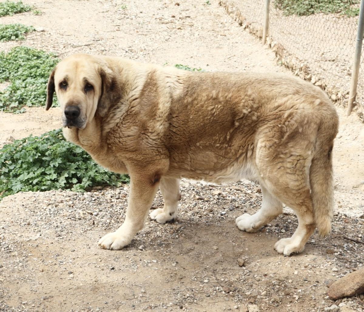 Cloud - AF25168AD Cloud - AF25168AD