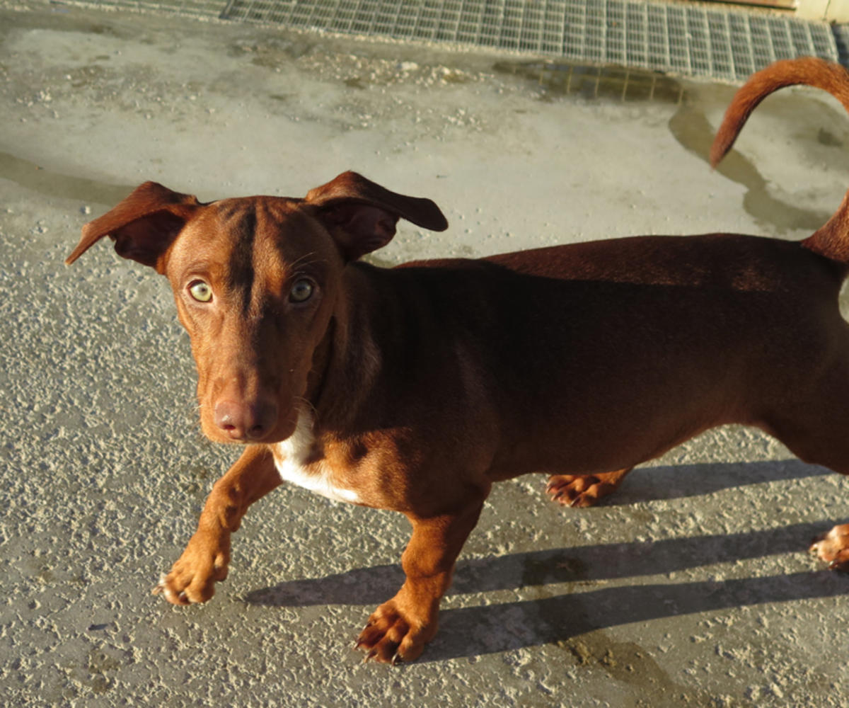 Bubble - PM25235LB Bubble - PM25235LB