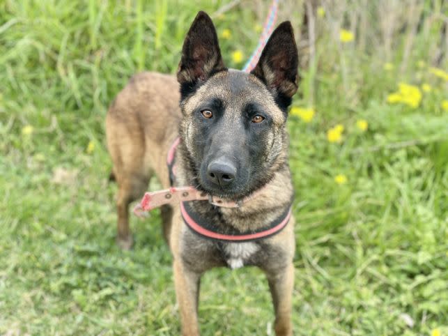 Sabina - AF26285LB Sabina - AF26285LB