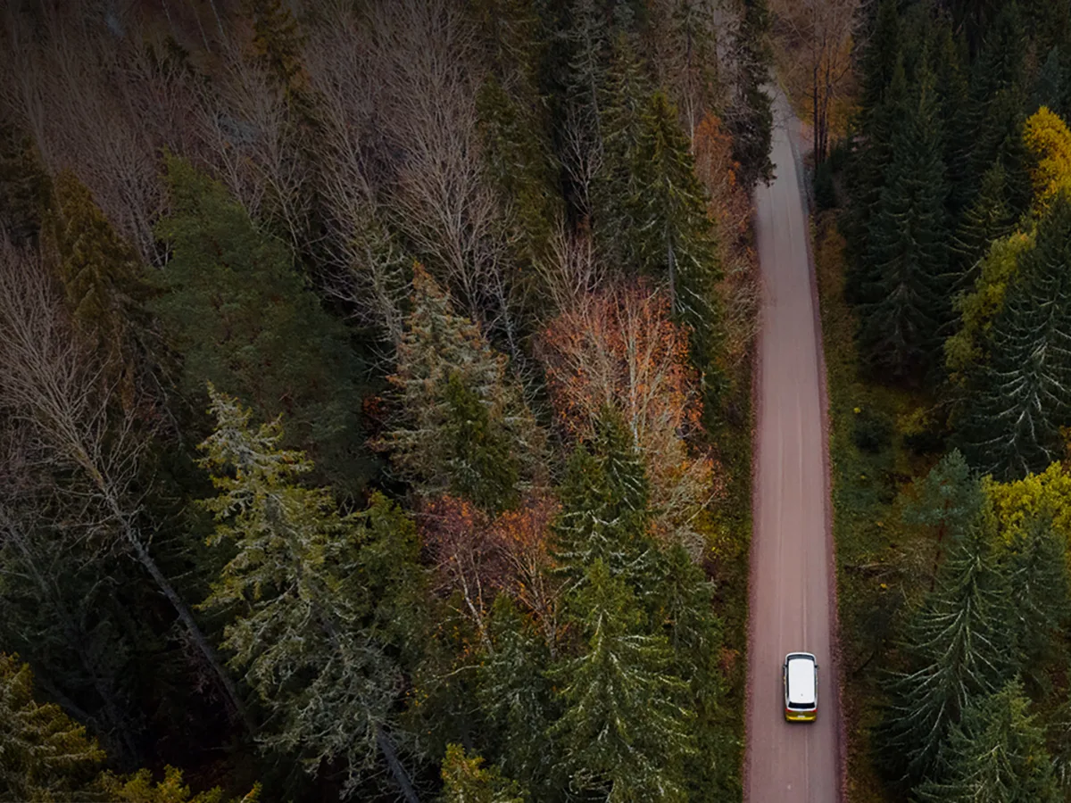 Romutuspalkkio 2026-2027 Ehdot, määrä ja hakeminen 