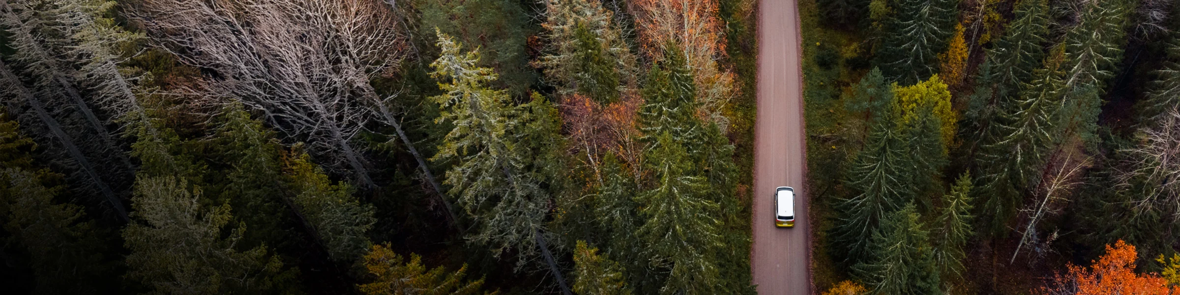 Romutuspalkkio 2026-2027 Ehdot, määrä ja hakeminen 