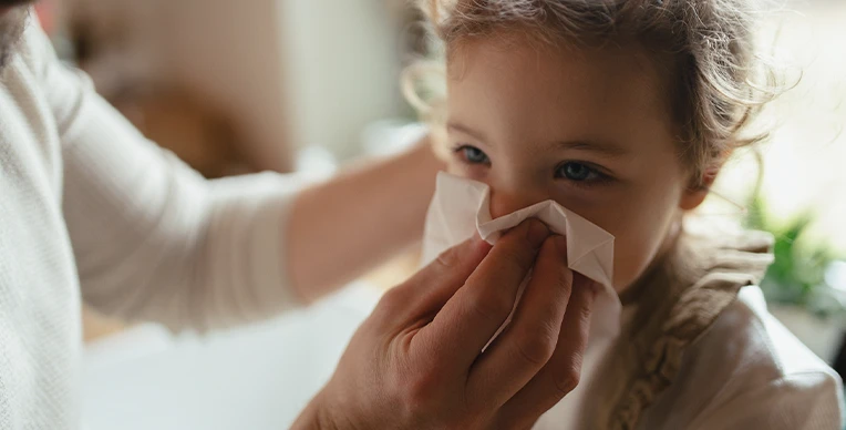flujo-nasal-interna-1