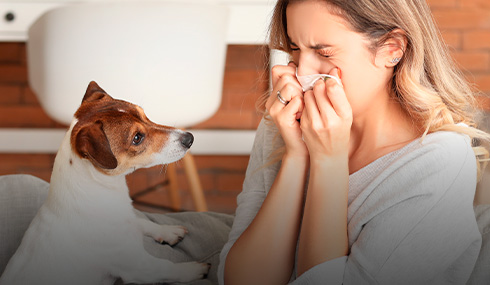 alergia a los perros