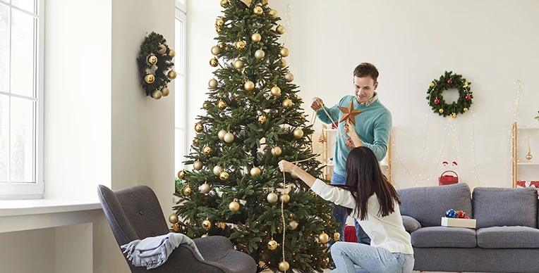 familia-en-navidad-interna-3