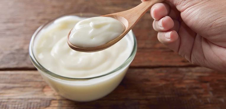 como-hacer-helado-de-yogurt-casero-interna-3