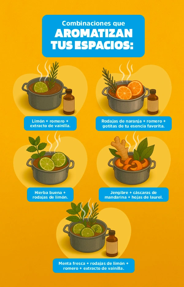 infografia-casa-limpia-interna-5