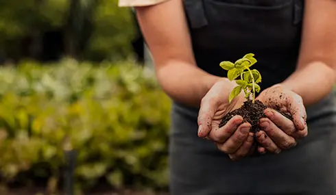 Diferencia entre sustentable y sostenible - Familia®