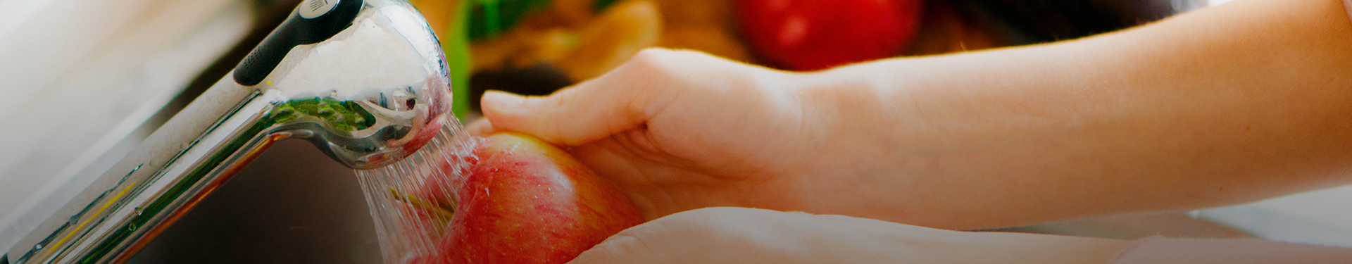 ¿Cómo desinfectar las verduras en casa? - Familia®