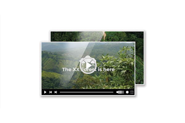 Videos