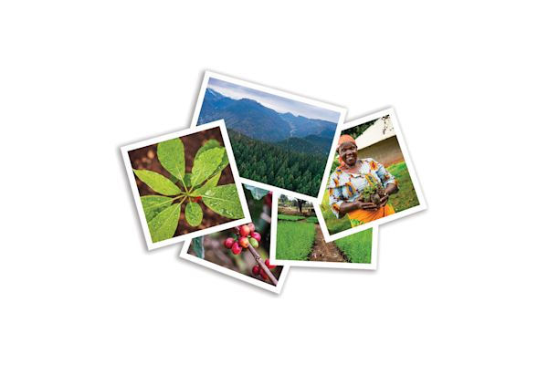 Photo Pack