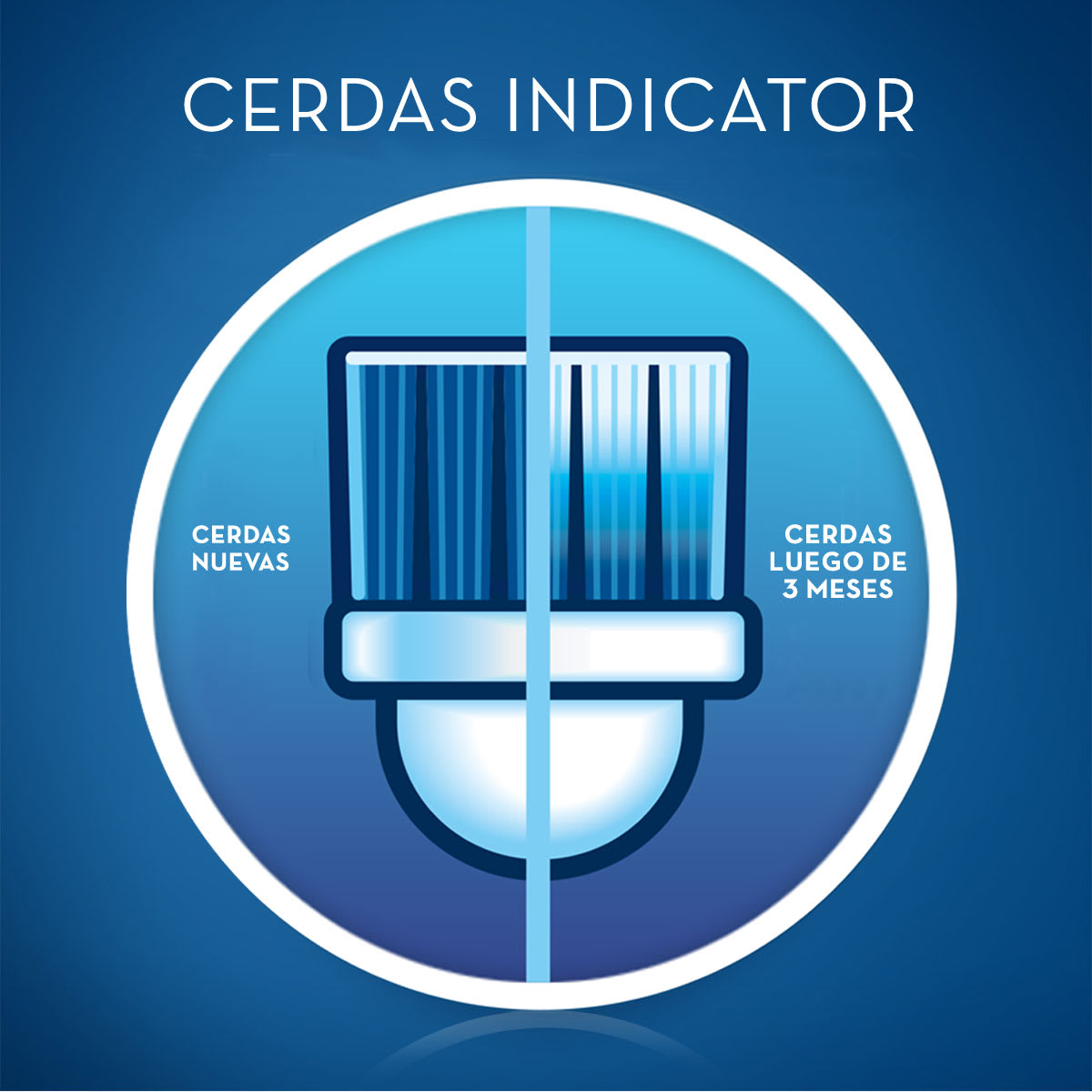 Cabezal para Cepillo Eléctrico Floss Action