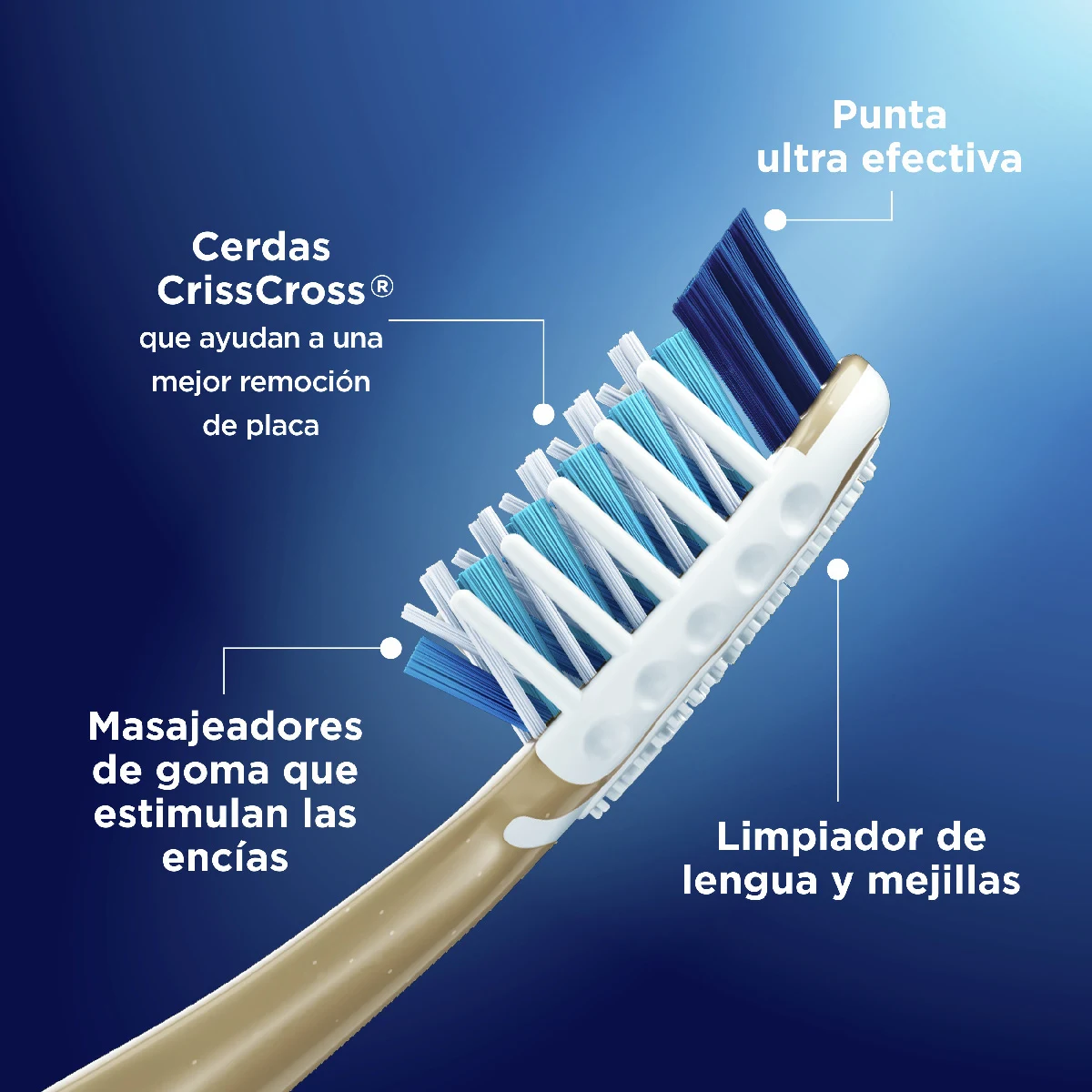 Cepillo de dientes Pro-Salud 7 Beneficios