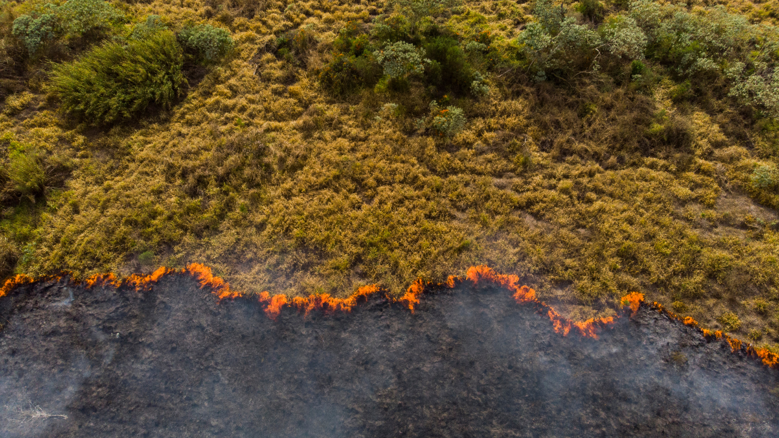 News: Justice, transition, and nature-based solutions — Here’s how we move beyond the backlash and refocus the climate finance conversation on what matters most