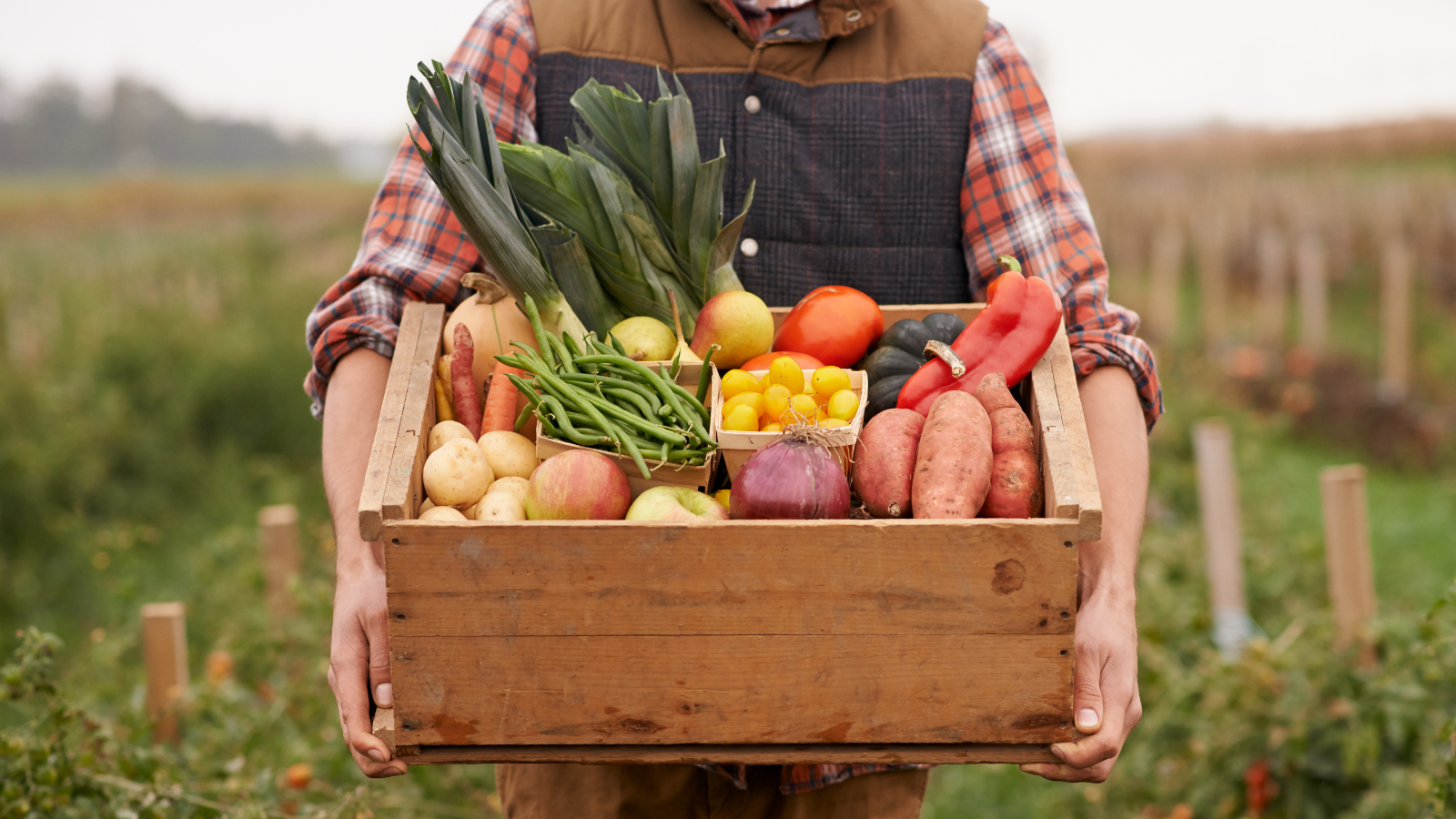 News: How Native Farmers Pair Ancestral Knowledge with Climate Expertise