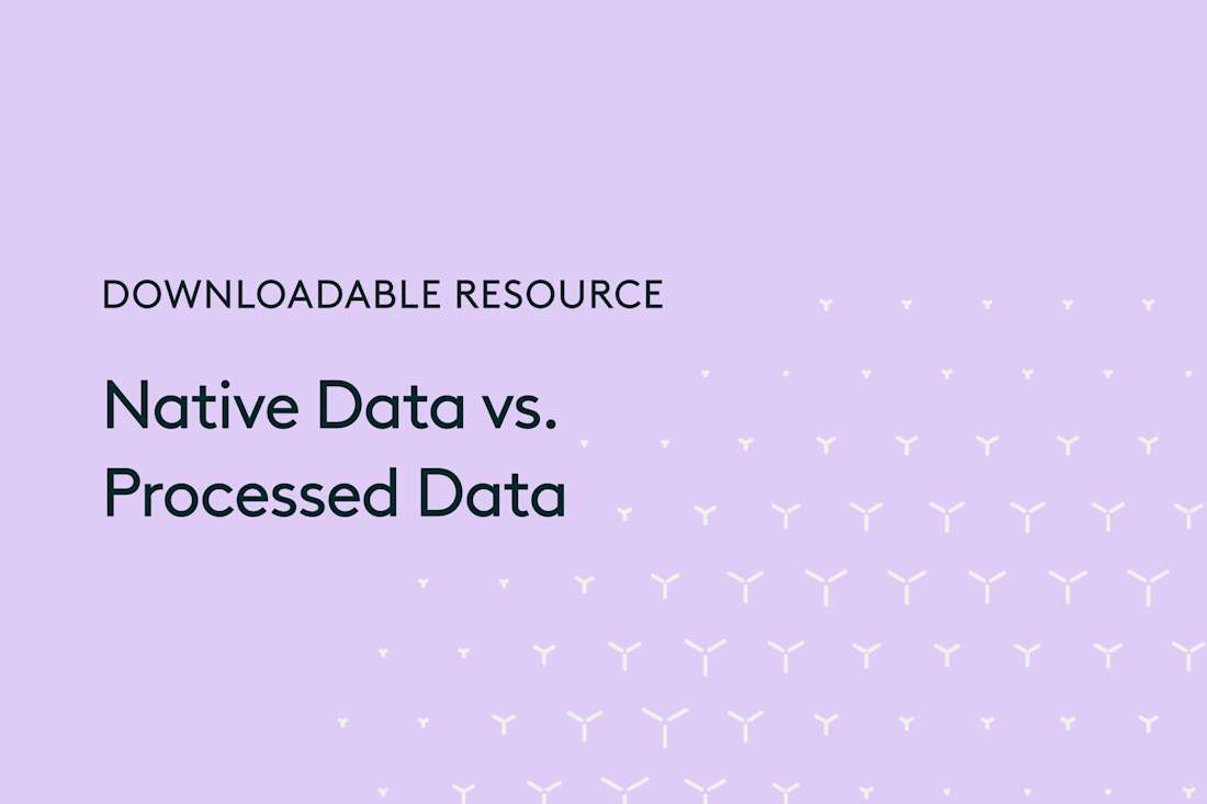 Everlaw Feature | Native Data Loading