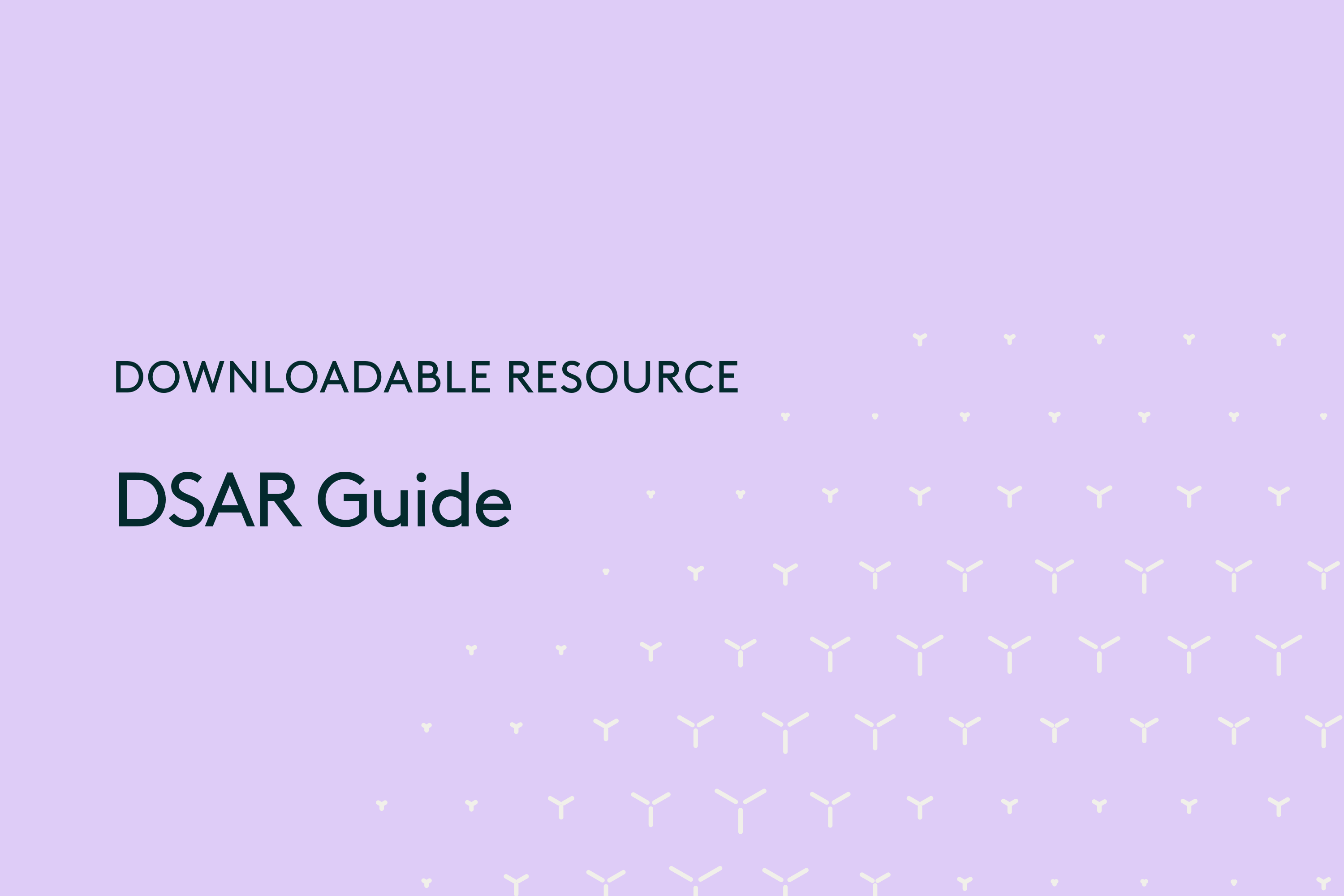 Downloadable-resource-DSAR-Guide