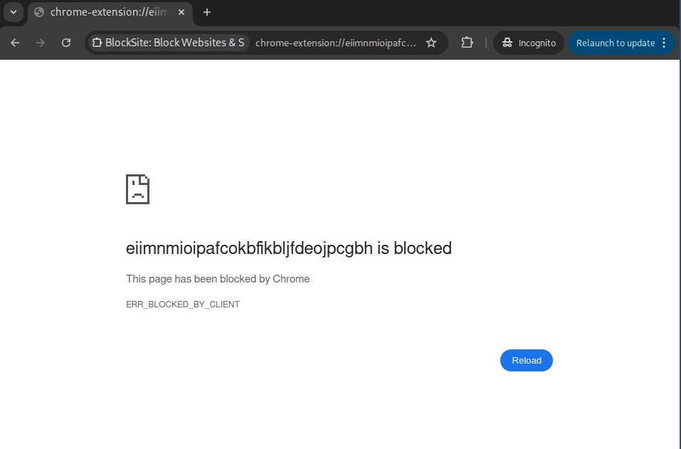 The site is blocked when added to the extension even in incognito mode